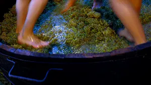 Travel Channel To Showcase Romanian Vineyards