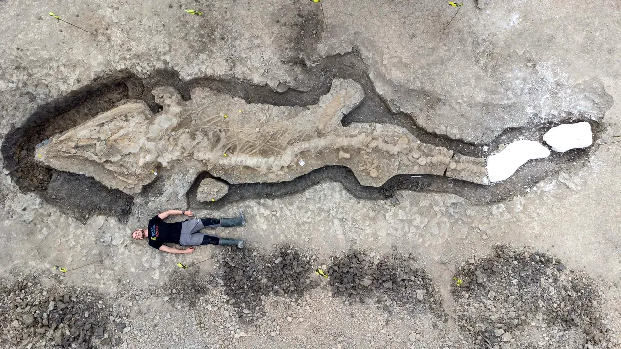 A fost descoperit un ihitozaur, un monstru marin de 10 metri