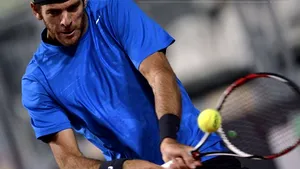 Jucătorul de tenis argentinian Juan Martin Del Potro s-a retras de la turneul de la Acapulco