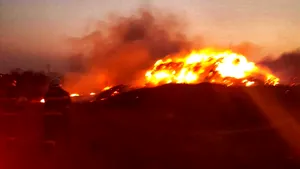 Incendiu violent în Giurgiu: 20 de tone de furaje s-au făcut scrum