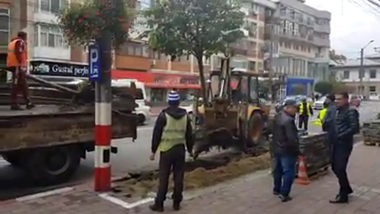 VIEDO| Copaci scoşi din rădăcini în centrul oraşului Târgu-Jiu, pentru a se face parcări. Explicaţia Primăriei