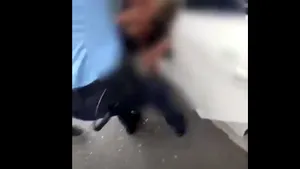 Şofer care furat o maşină dintr-un mall, oprit de poliţişti cu focuri de armă pe DN1