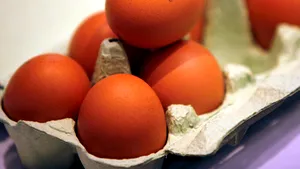 Two Thirds Of Romanian Eggs Come From Battery-Raised Chickens