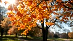 Prognoză meteo pe patru săptămâni: Temperaturi peste normal și ploi puține la început de toamnă