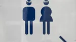 Decizie: Utilizarea toaletelor la job, în magazine și spitale trebuie să se bazeze pe sexul biologic