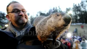 SUA: În plină furtună de zăpadă, marmota Phil a prezis o primăvară timpurie