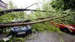 Ploile au făcut pagube. Gospodării inundate, mașini distruse și copaci prăbușiți în București și 12 județe