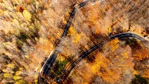 VIDEO DN2L, drum strategic pentru conectivitatea zonei montane a Vrancei, a fost modernizat (P)