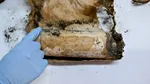 Descoperire surprinzătoare în Turnul Sfatului din Sibiu: o capsulă a timpului, ascunsă în acoperiș