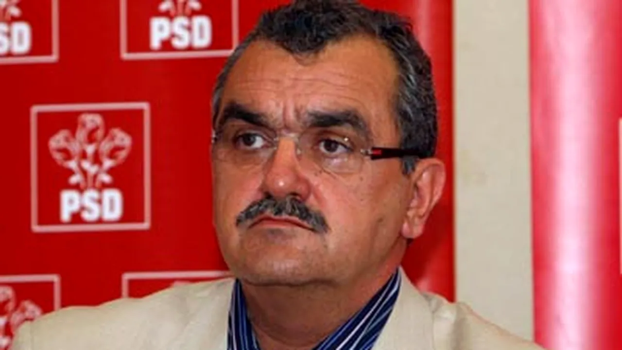 Mitrea : Votul uninominal este o struţo-cămilă care creează dificultăţi tuturor politicienilor