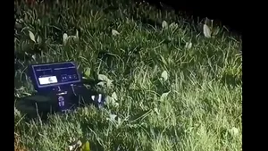 Laserul care omoară țânțarii în zbor a ajuns la vânzare. Costă aproape 1.000 de dolari