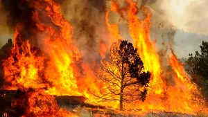 Incendiu puternic în Arizona. Ar putea fi cel mai grav din istoria statului - VIDEO