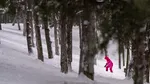 Furtunile de iarnă se intensifică în lume. Clima le face mai rare, dar mai distructive