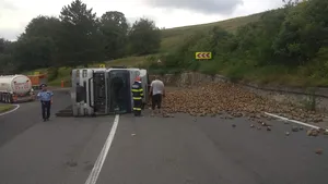 FOTO: O porţiune din DN13 s-a transformat în „cultură” de sfeclă de zahăr, după ce un TIR s-a răsturnat pe marginea drumului