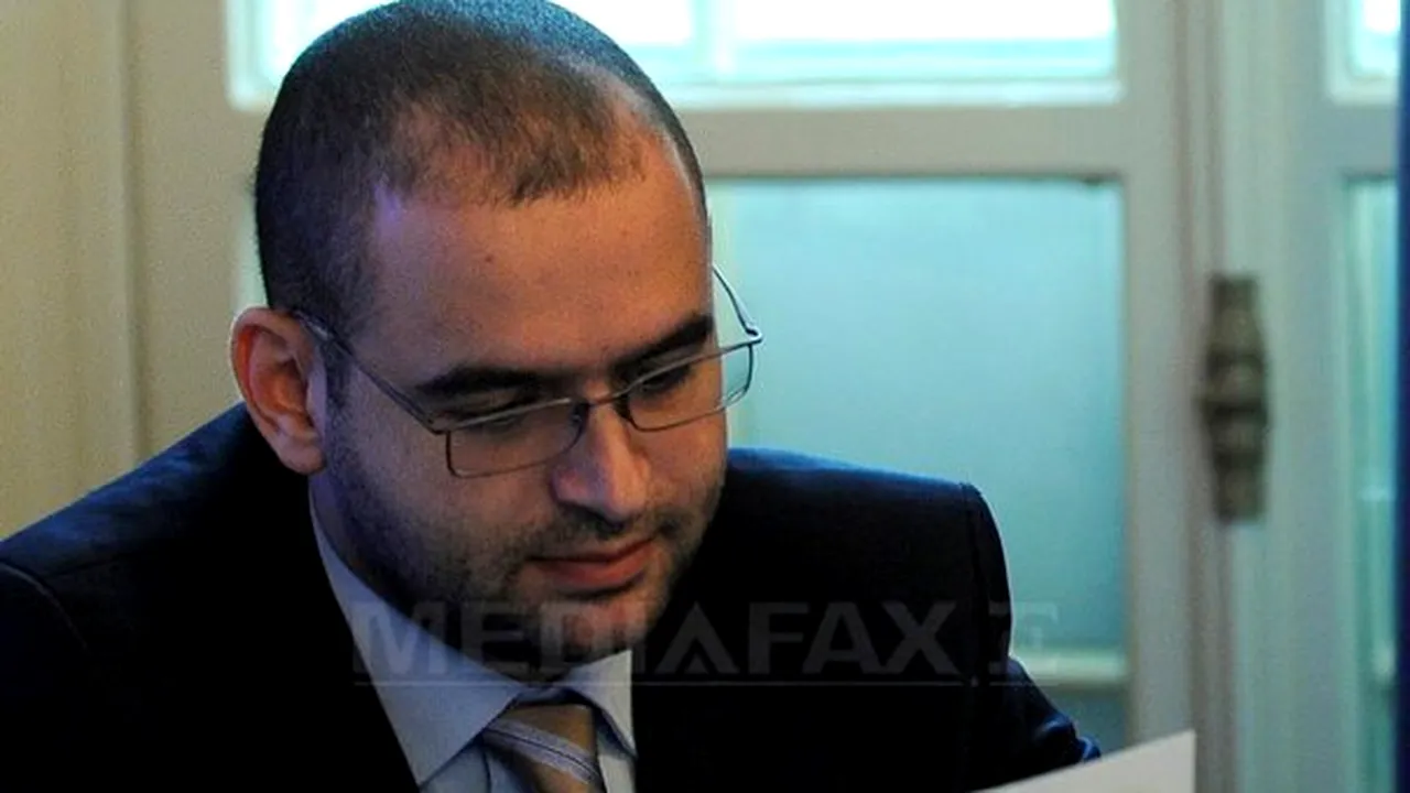 Georgescu (ANI): Decizia şefului statului de a sesiza CC este o veste bună pentru noi