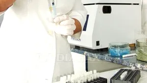 Romania Mosquito-Borne West Nile Virus Infections Reach 20