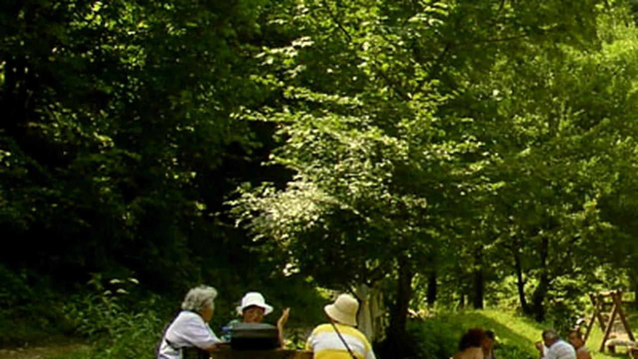 Oprescu va propune ca bucureştenii să poată ieşi la picnic în parcuri