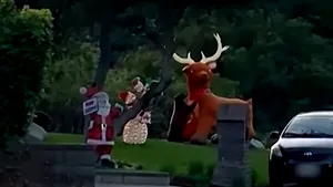 Grinch de Sărbători. Un pui de urs atacă un ren gonflabil, într-un video hilar