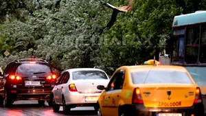 FURTUNĂ PUTERNICĂ în BUCUREŞTI: 18 oameni răniţi şi 26 de maşini avariate. 45 de localităţi din Ilfov şi Giurgiu, fără curent electric - FOTO