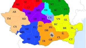 R.Turcan: Cred că UDMR nu va accepta varianta 8+2 judeţe, ci pe cea a reorganizării deconcentratelor