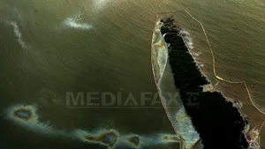 Bilanţul poluării cu petrol din Golful Mexic - GALERIE FOTO