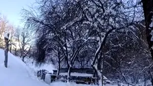 Unicul locuitor al unui sat din Alba, izolat din cauza zăpezii. Polițiștii i-au dus medicamente și alimente