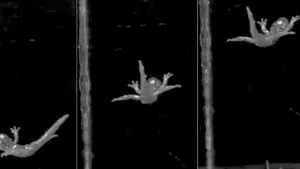 VIDEO Secretele salamandrelor paraşutiste din California. Cercetătorii sunt impresionaţi de salturile lor