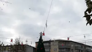 Iniţiativă neobişnuită | Autorităţile din Bârlad cer localnicilor să doneze brad de Crăciun oraşului: De ce să cheltuim de la bugetul local