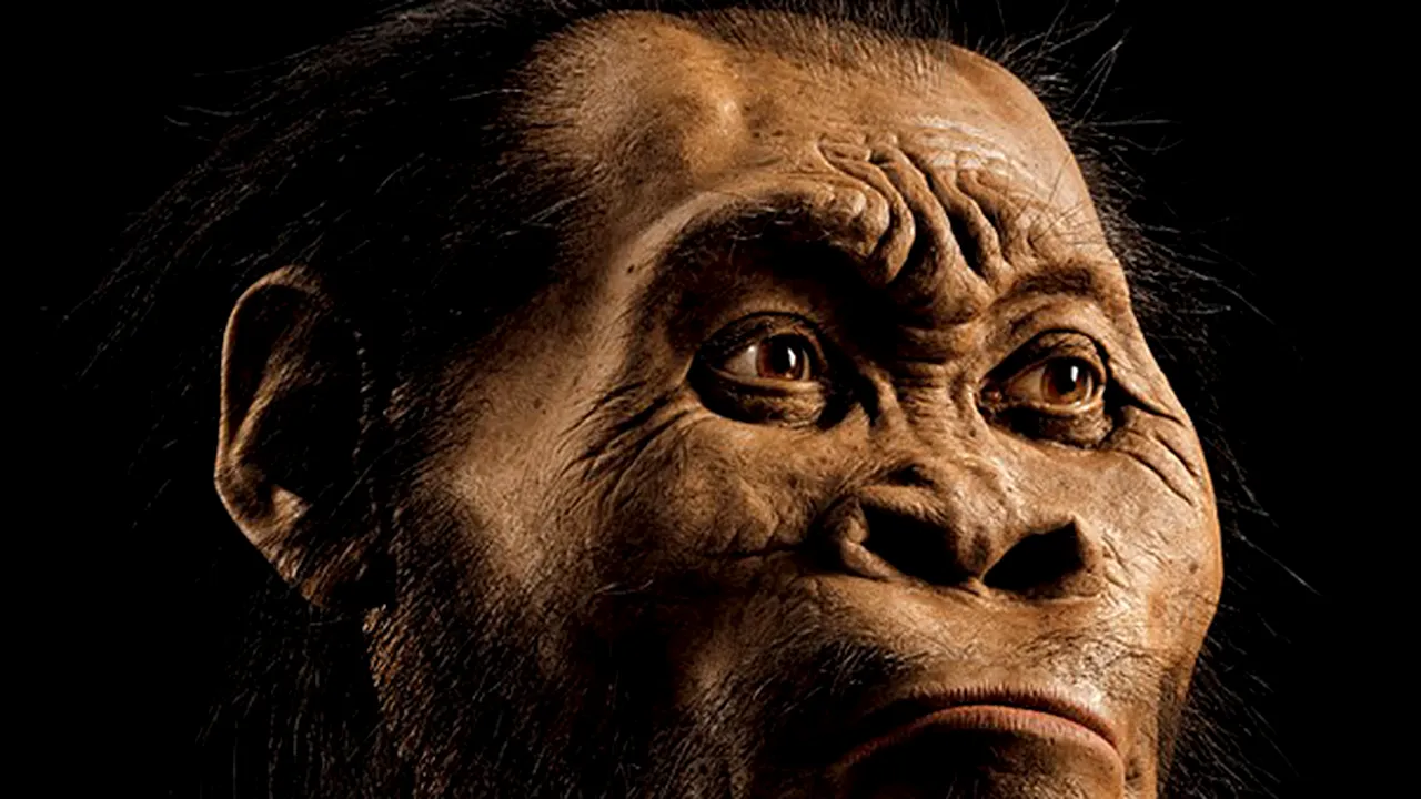 O nouă specie de hominid, descoperită în Africa - GALERIE FOTO
