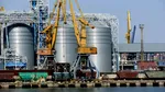 După petrol, urmează alimentele. ONU: Prețurile cerealelor ar putea crește cu până la 81%