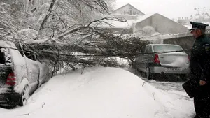 Harghita: Trafic dificil pe DN 15 şi pe DN 13 B din cauza zăpezii şi a căderilor de arbori