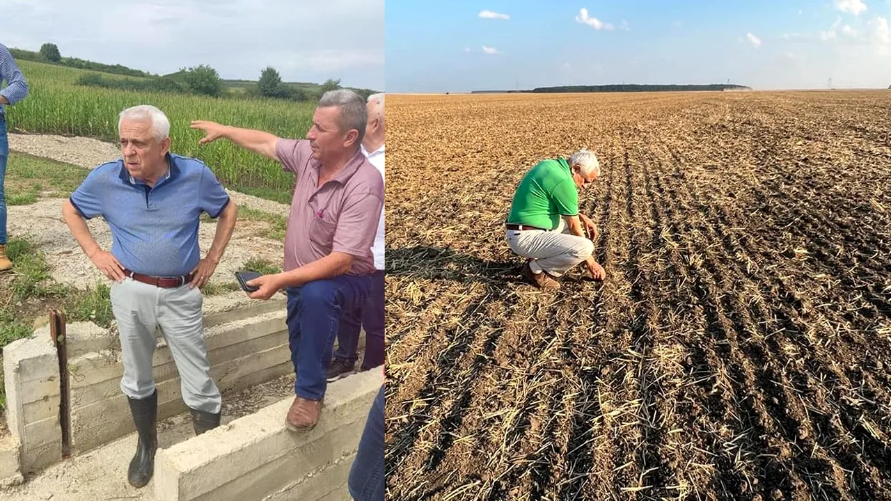 Aproape 430.000 de hectare de culturi din România, afectate de secetă
