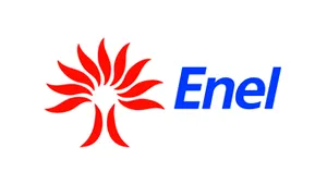Enel va suporta taxe de câteva sute de milioane de euro