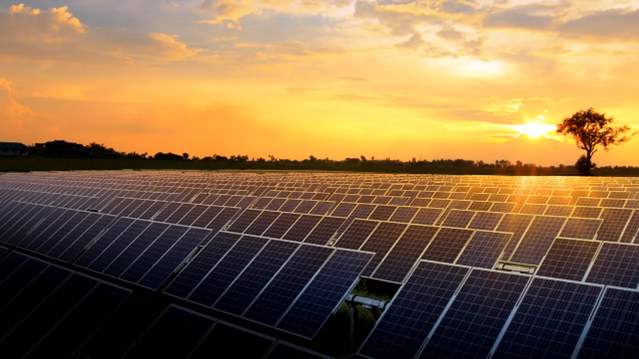 Pariu de 100 de milioane de euro pe România: miliardarii de la Ford Otosan construiesc un parc fotovoltaic în Dâmbovița. Finanțare uriașă de la Banca Transilvania