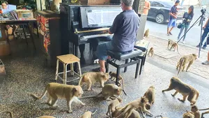 Muzică realizată de inteligenţa artificială