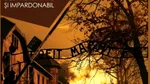 Soare peste Auschwitz, o lucrare despre lumea de atunci și de acum, în viziunea Oanei Șerban