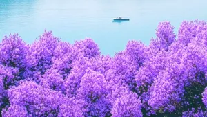 Noua Zeelandă va cere taxe turiștilor străini pentru vizitarea unor atracții naturale celebre. Când se va implementa schimbarea
