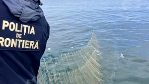 Sturioni braconați în Marea Neagră. Garda de Coastă a găsit plase ilegale de sute de metri