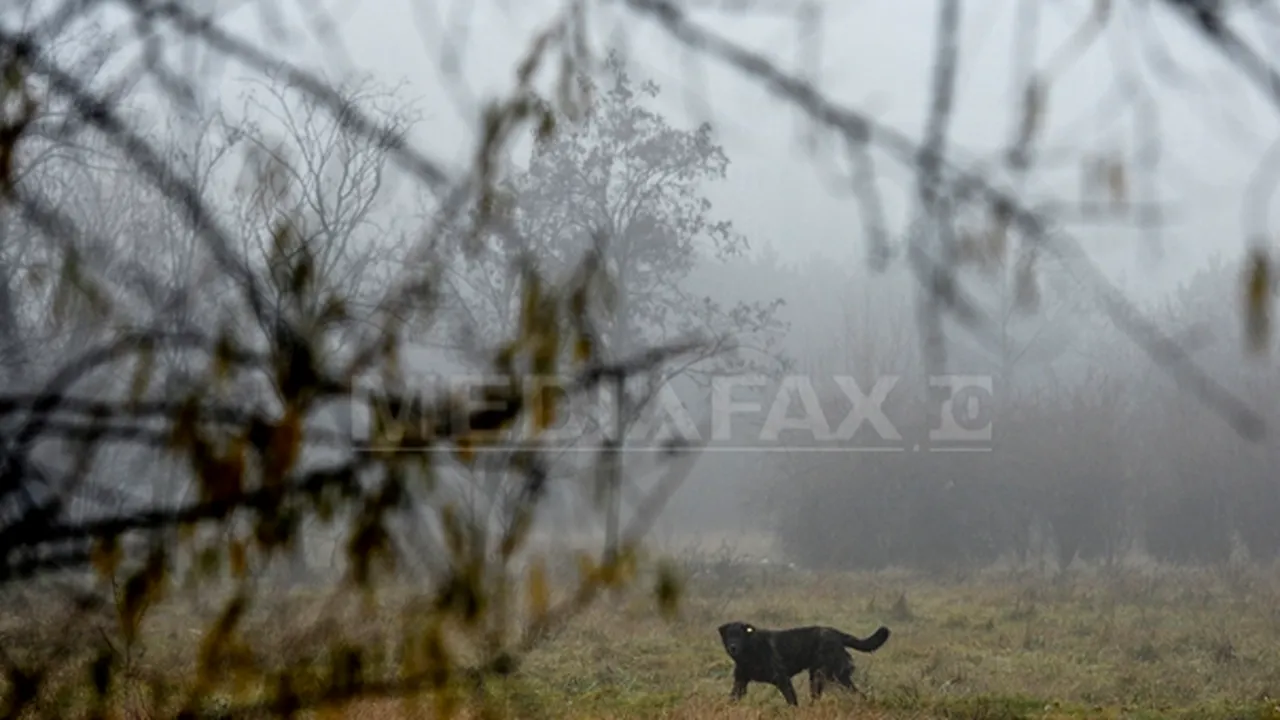 VREMEA se încălzeşte uşor, dar rămâne închisă. PROGNOZA METEO pentru joi şi vineri