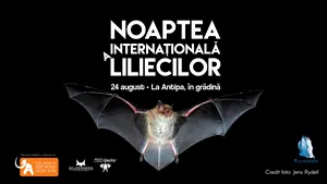 Noaptea Internaţională a Liliecilor, sărbătorită la Muzeul Antipa din Bucureşti