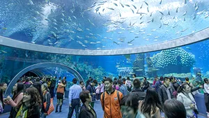 Record Guinness: Cel mai mare acvariu din lume, inaugurat în China - FOTO