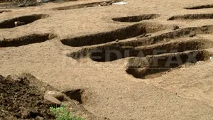 Paleontolog clujean: Fosilele de pterozaur descoperite la Sebeş-Glod, cele mai complete din Europa