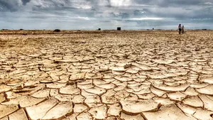 Guvernul aprobă Strategia pentru Adaptarea la Schimbările Climatice