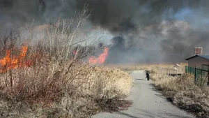 Incendiu puternic în Prahova. Flăcările au cuprins un parc de dezmembrări. IMAGINI cu zeci de caroserii cuprinse de flăcări