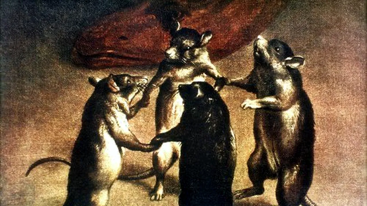 STUDIU Instinctul de a dansa pe muzică nu este întâlnit numai la oameni. Animalele care se mişcă pe ritmul lui Mozart