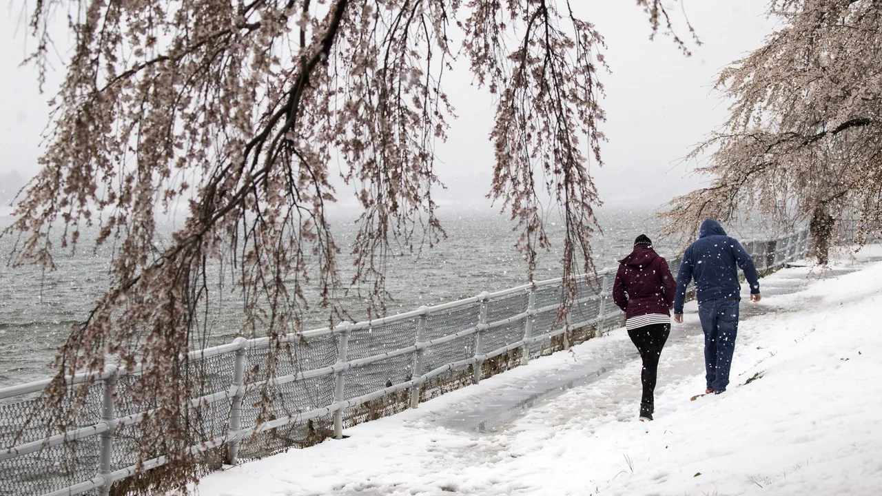 Atenţionare de călătorie: Condiţii meteorologice severe în Turcia, Germania, Ucraina şi Olanda / La ce trebuie să fie atenţi românii