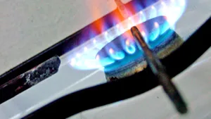 Romanian Imported Gas Prices To Go Up 15%-16% In Jan - Sources