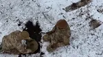 Finlanda și Lituania vor începe producția de mine antipersonal pentru uz propriu și pentru Ucraina