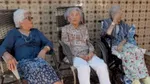 Au împreună 316 ani și ar putea schimba tot ce știm despre longevitate. Secretul pe care oamenii de știință încearcă să-l descifreze