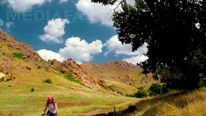 Poliţia Sălaj: Copiii care au atacat turiştii străini erau supăraţi că aceştia le fotografiau casa